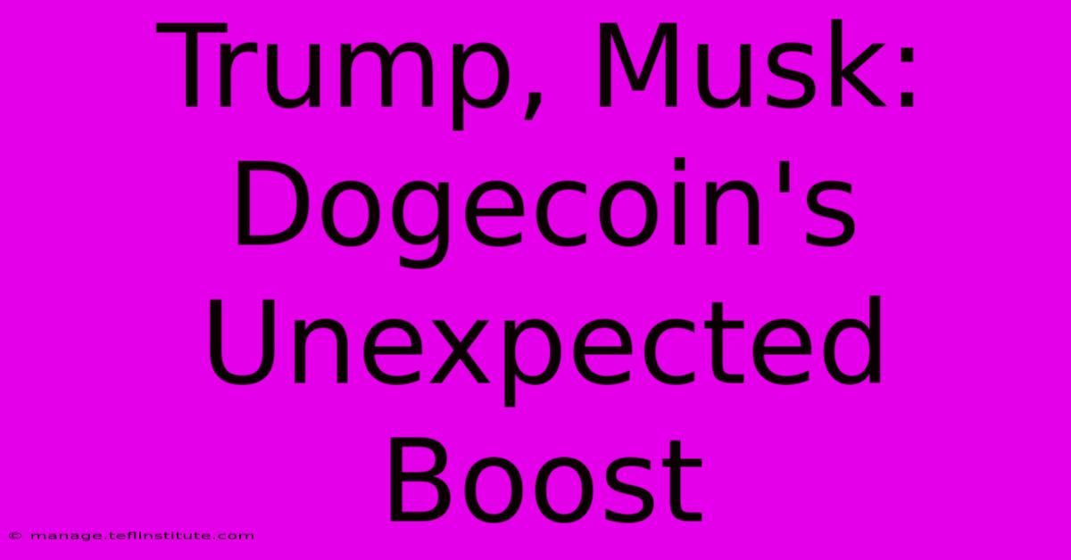 Trump, Musk: Dogecoin's Unexpected Boost