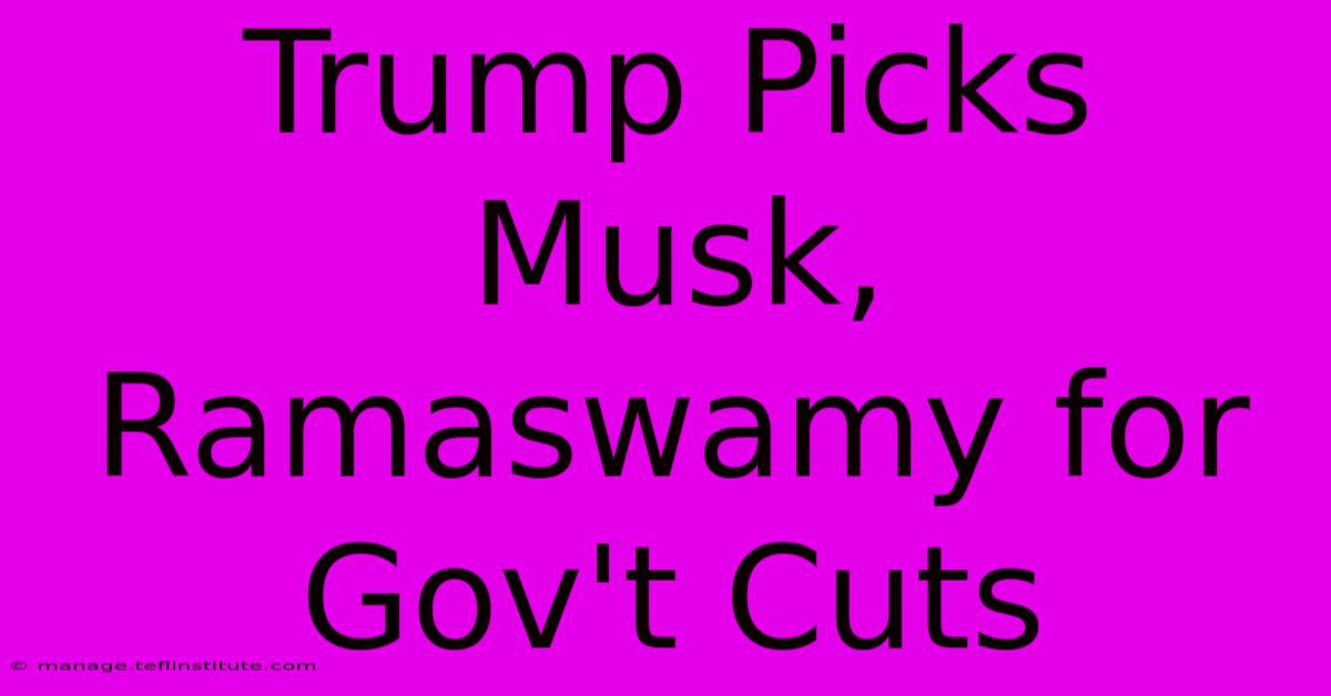 Trump Picks Musk, Ramaswamy For Gov't Cuts