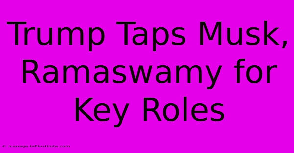 Trump Taps Musk, Ramaswamy For Key Roles