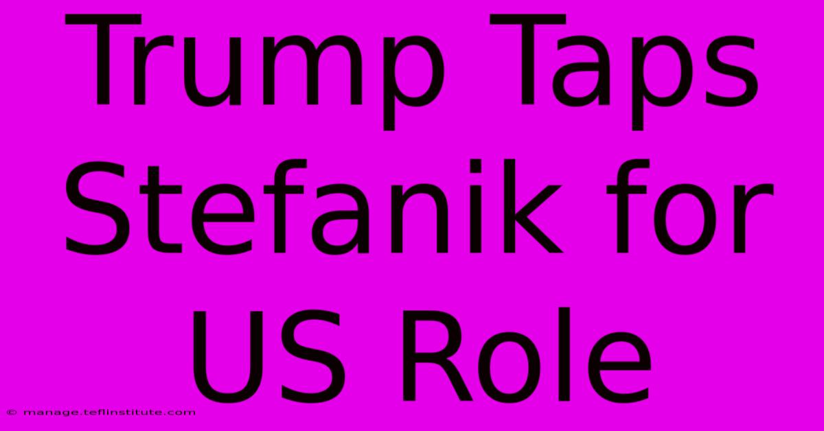 Trump Taps Stefanik For US Role