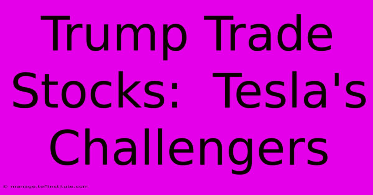 Trump Trade Stocks:  Tesla's Challengers 