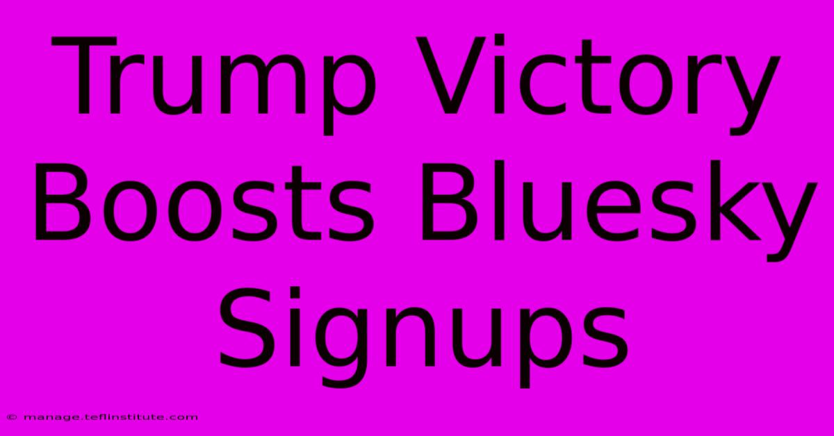 Trump Victory Boosts Bluesky Signups