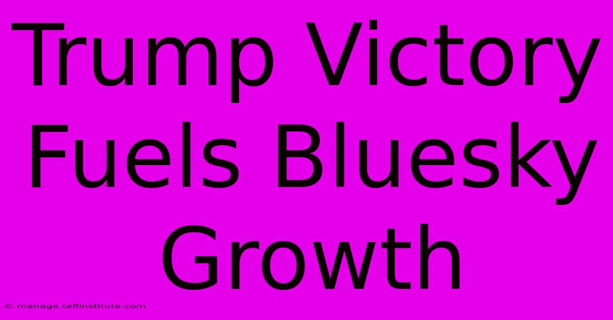 Trump Victory Fuels Bluesky Growth