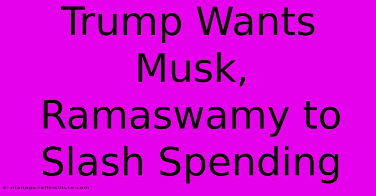 Trump Wants Musk, Ramaswamy To Slash Spending