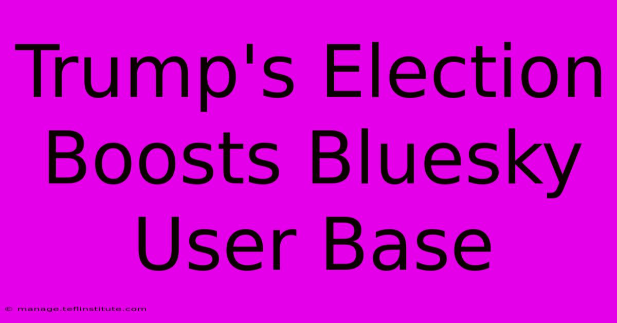 Trump's Election Boosts Bluesky User Base