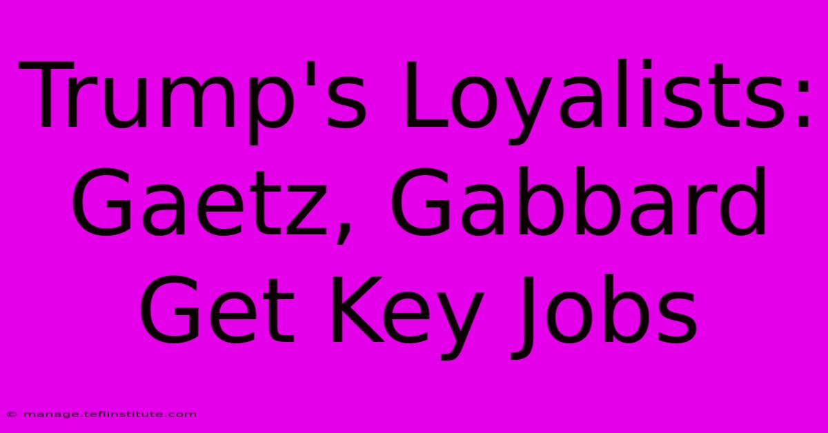 Trump's Loyalists: Gaetz, Gabbard Get Key Jobs