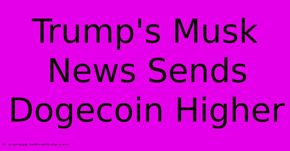 Trump's Musk News Sends Dogecoin Higher