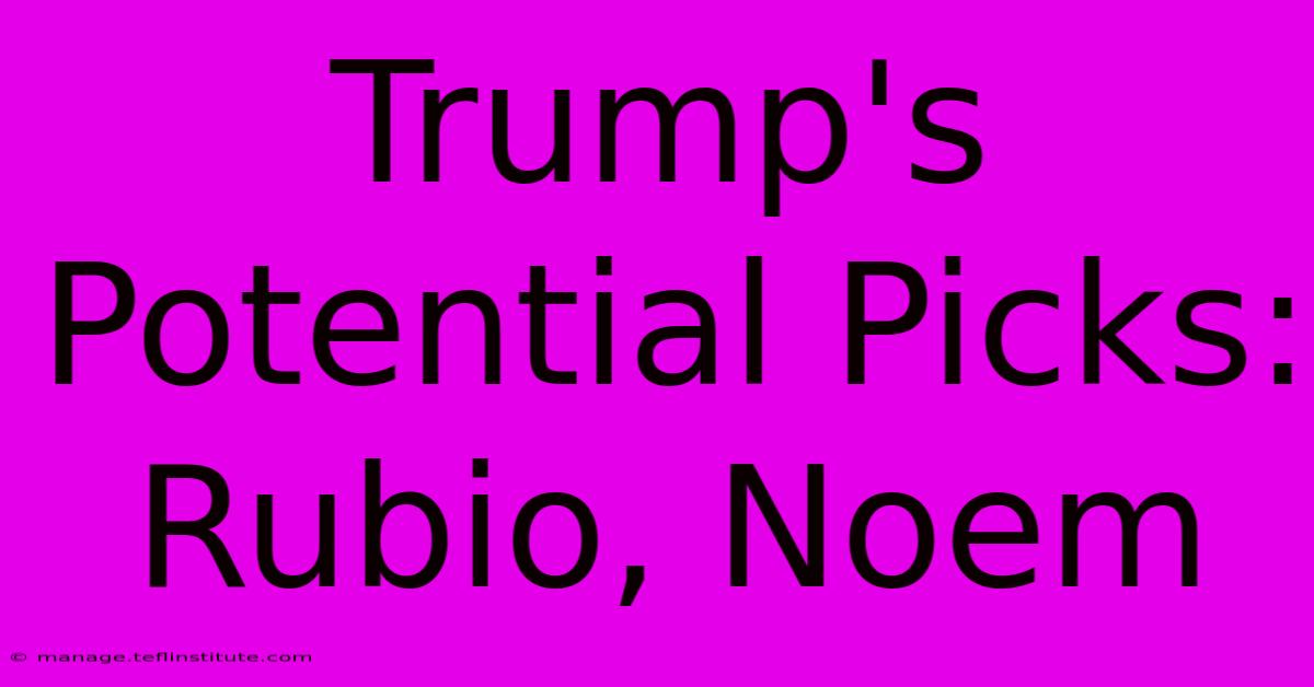 Trump's Potential Picks: Rubio, Noem