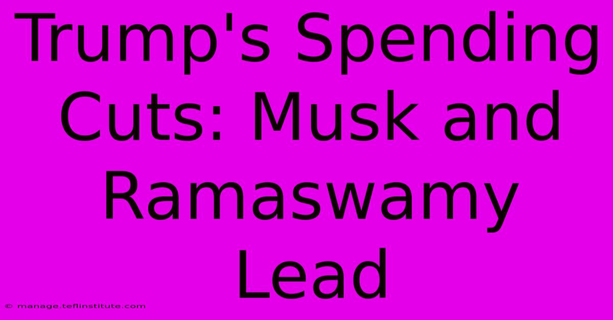 Trump's Spending Cuts: Musk And Ramaswamy Lead