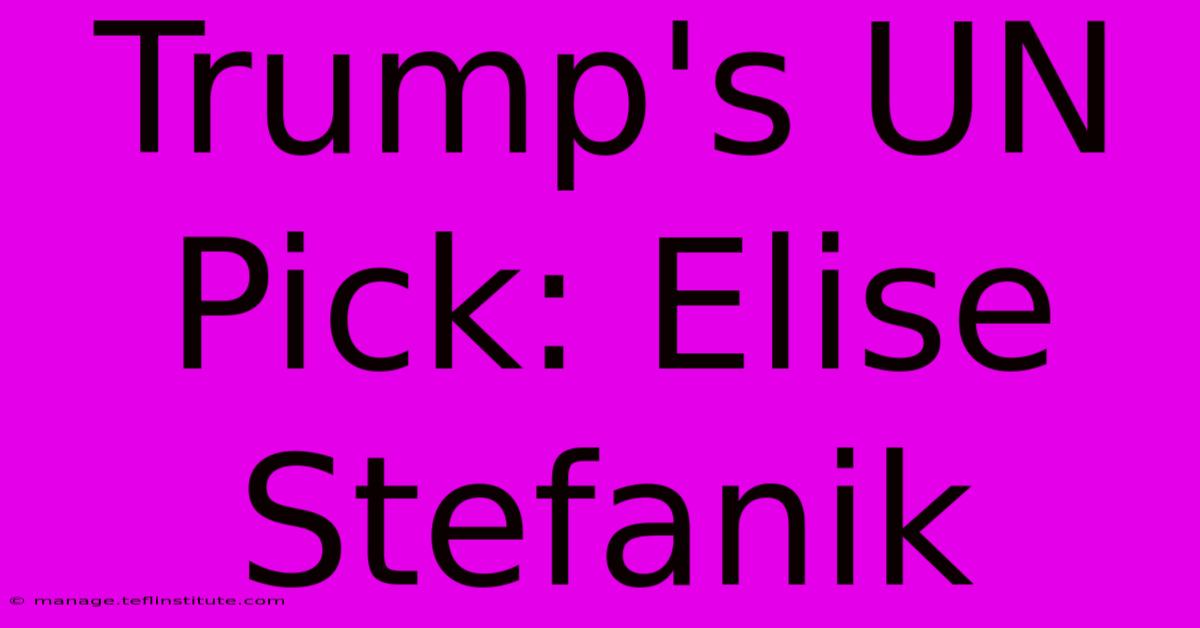 Trump's UN Pick: Elise Stefanik 