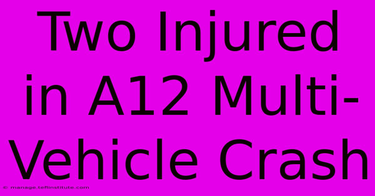 Two Injured In A12 Multi-Vehicle Crash