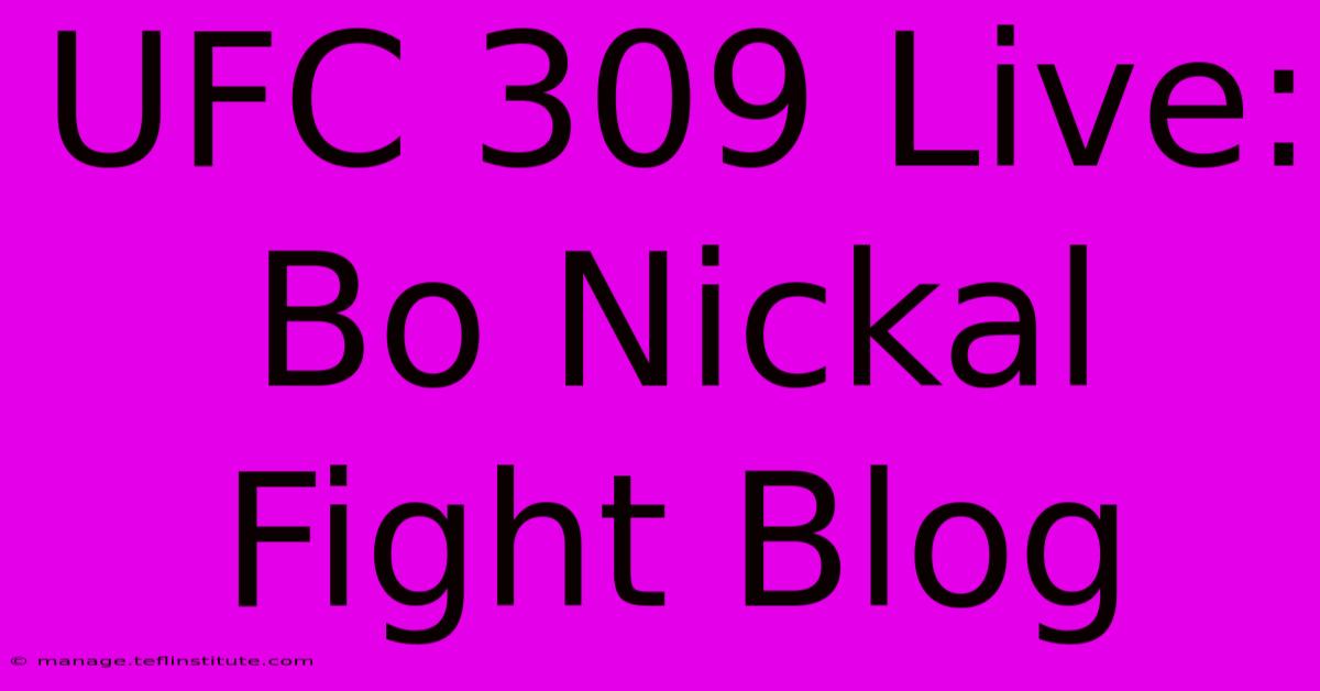 UFC 309 Live: Bo Nickal Fight Blog