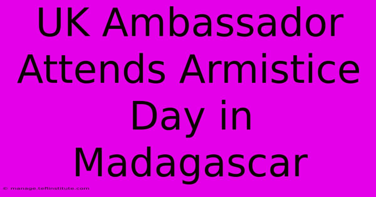 UK Ambassador Attends Armistice Day In Madagascar