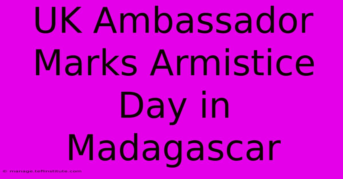 UK Ambassador Marks Armistice Day In Madagascar