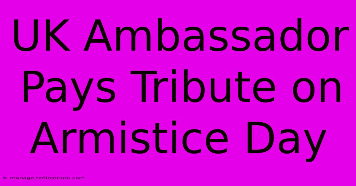 UK Ambassador Pays Tribute On Armistice Day