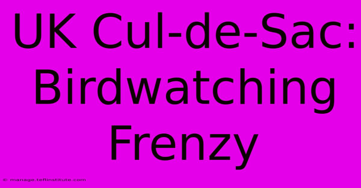 UK Cul-de-Sac: Birdwatching Frenzy 