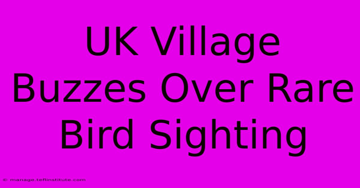 UK Village Buzzes Over Rare Bird Sighting 