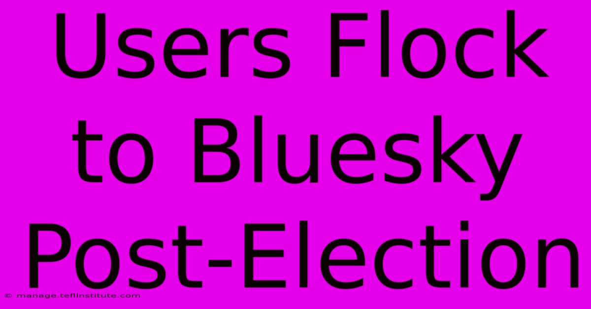 Users Flock To Bluesky Post-Election