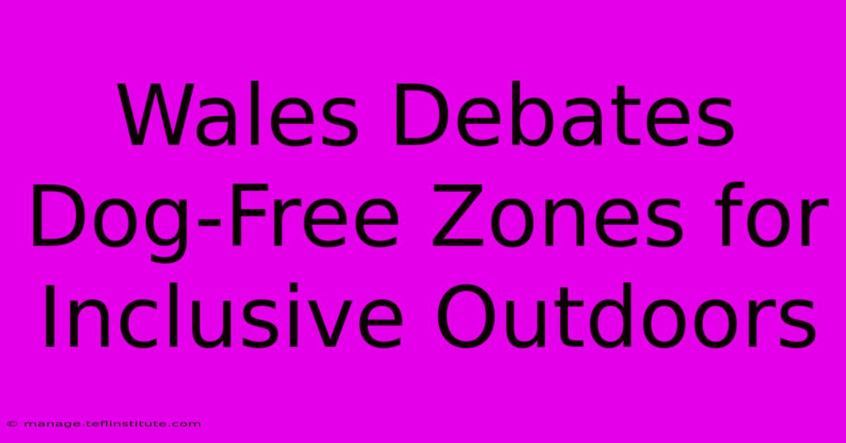 Wales Debates Dog-Free Zones For Inclusive Outdoors