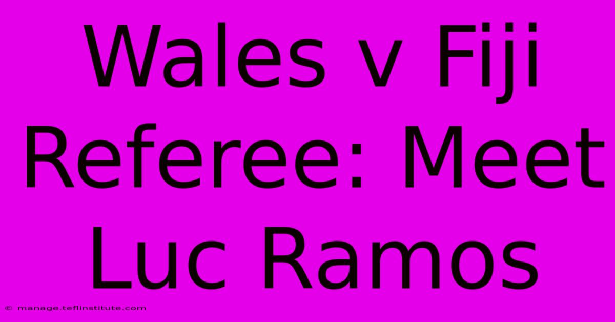 Wales V Fiji Referee Meet Luc Ramos