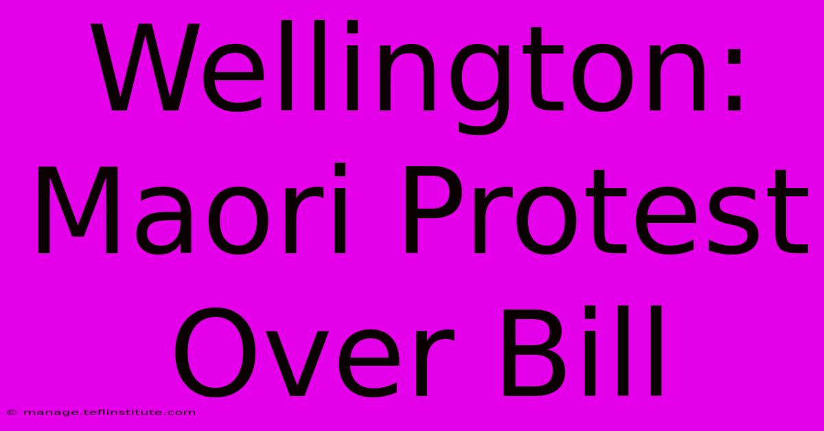 Wellington: Maori Protest Over Bill