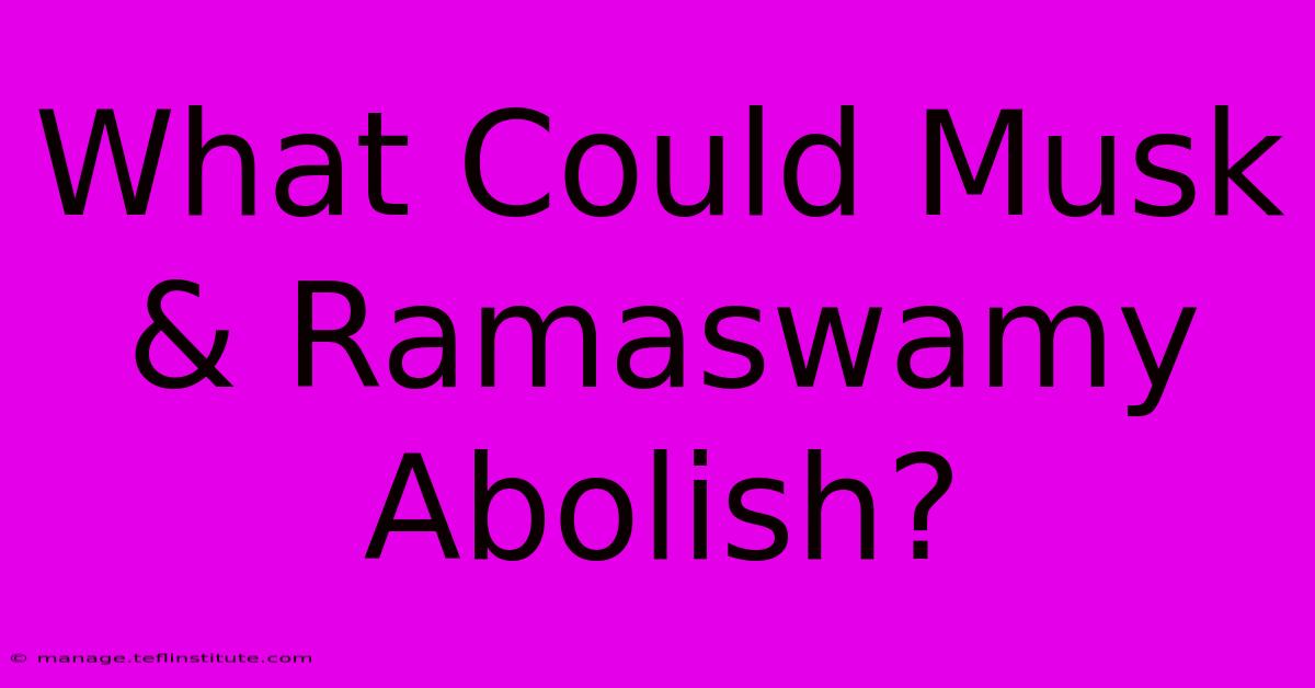 What Could Musk & Ramaswamy Abolish?