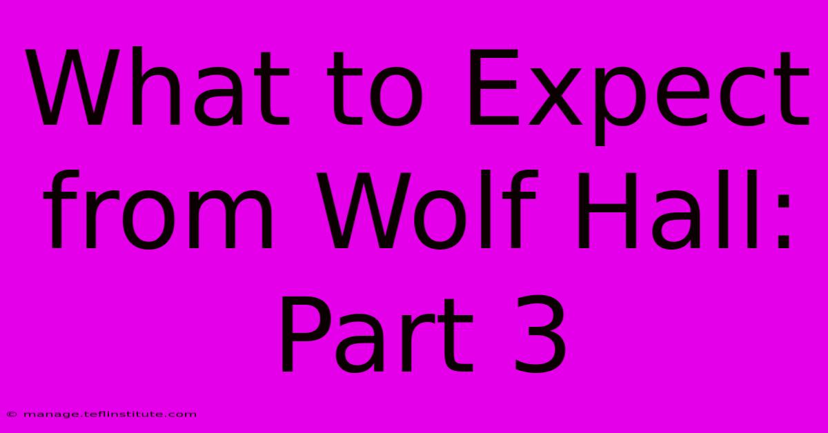 What To Expect From Wolf Hall: Part 3 