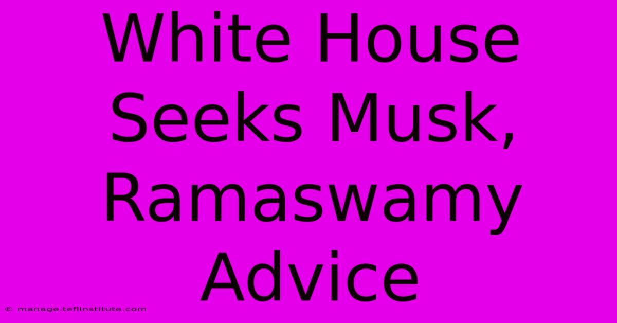 White House Seeks Musk, Ramaswamy Advice