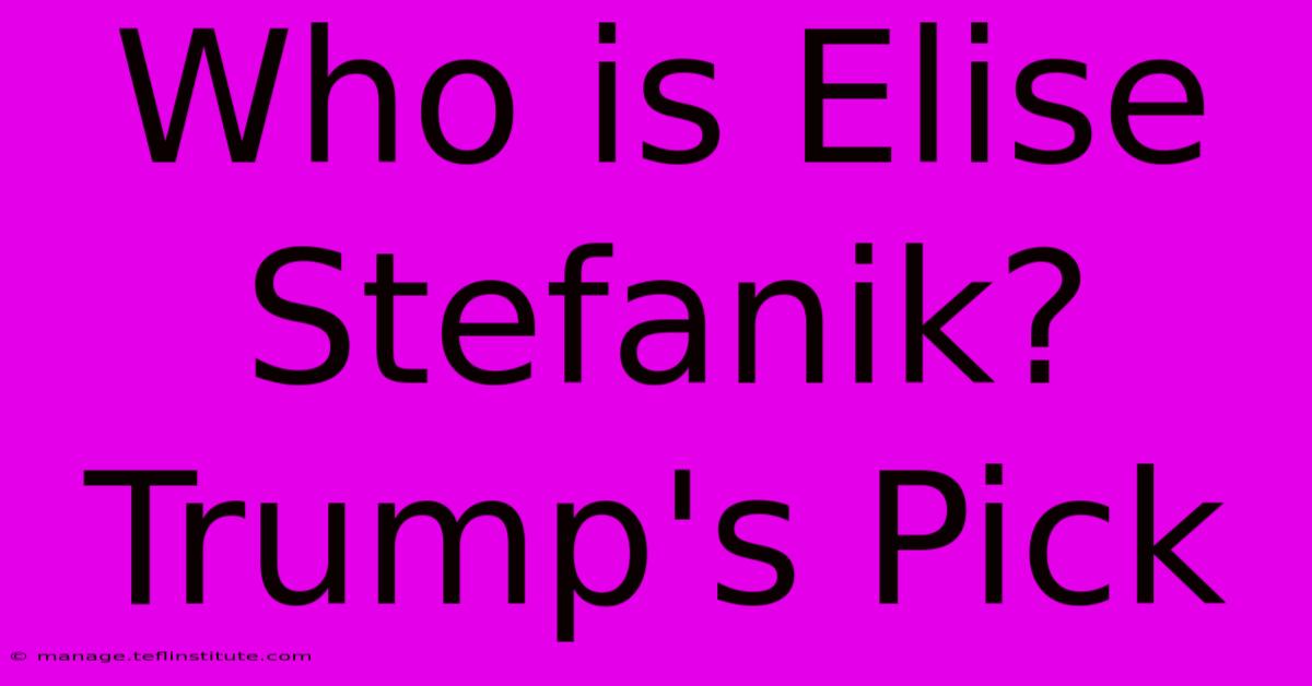 Who Is Elise Stefanik? Trump's Pick