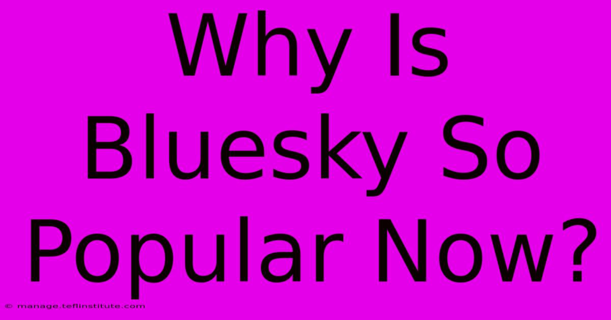 Why Is Bluesky So Popular Now?