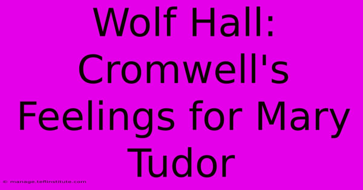 Wolf Hall: Cromwell's Feelings For Mary Tudor