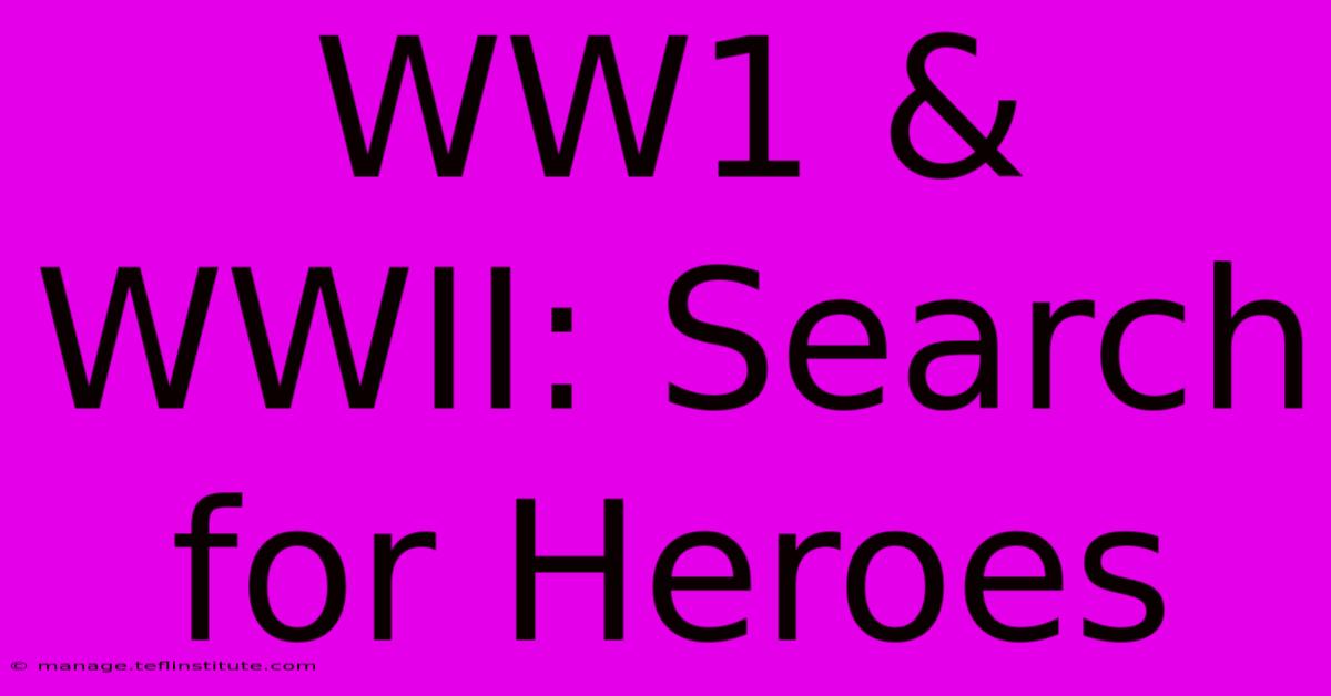 WW1 & WWII: Search For Heroes 