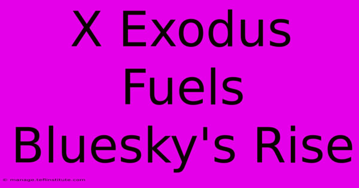 X Exodus Fuels Bluesky's Rise