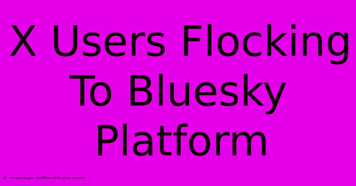 X Users Flocking To Bluesky Platform