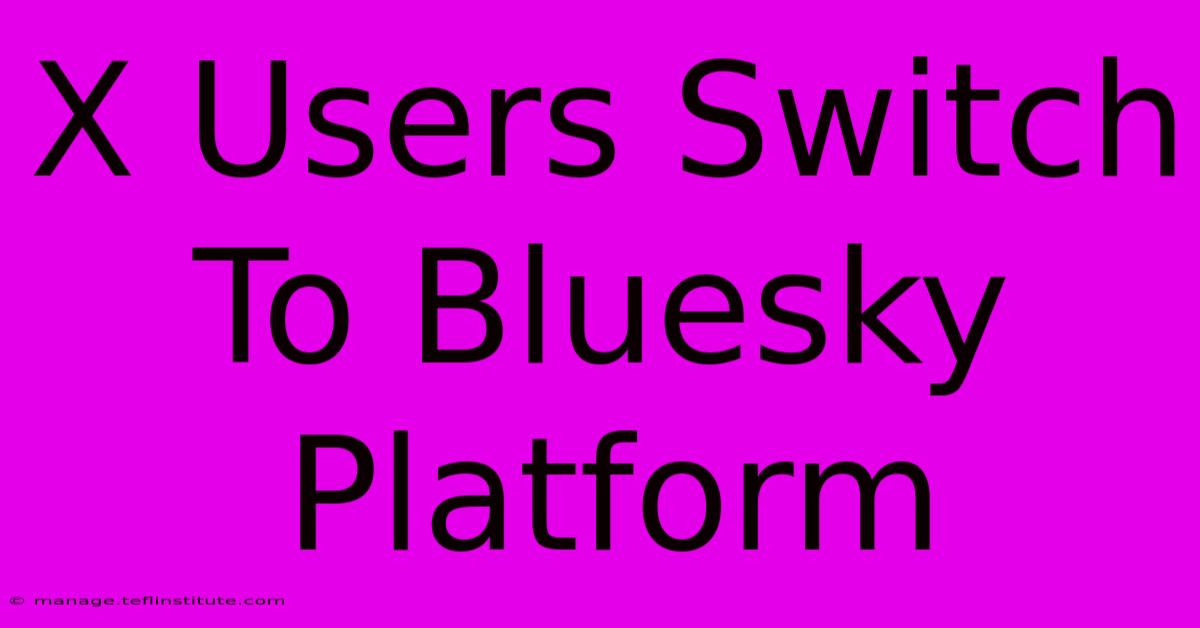 X Users Switch To Bluesky Platform 