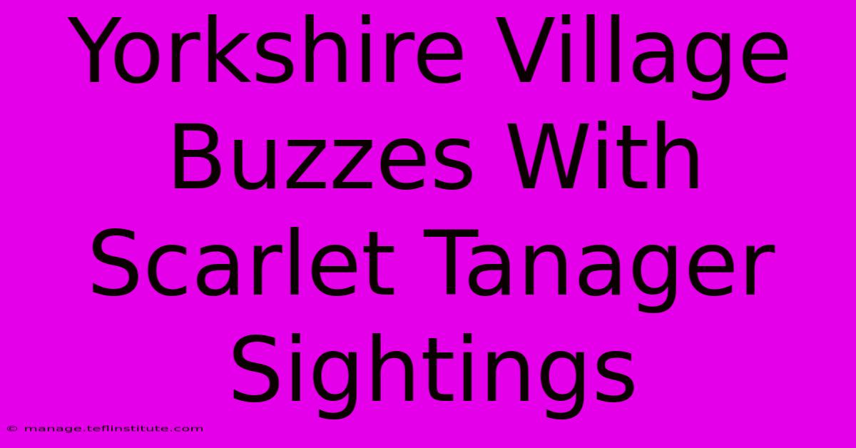 Yorkshire Village Buzzes With Scarlet Tanager Sightings 