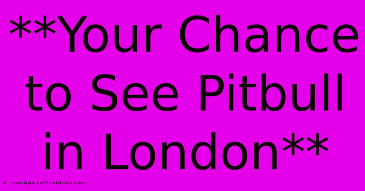 **Your Chance To See Pitbull In London**